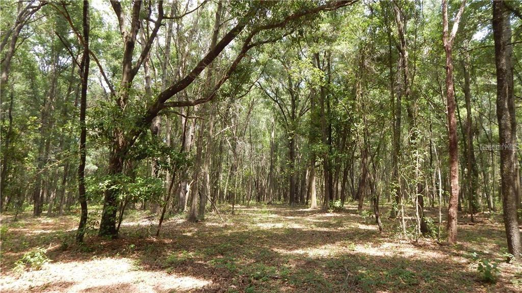 36510 Thornhaven Ln., Dade City, FL 33523