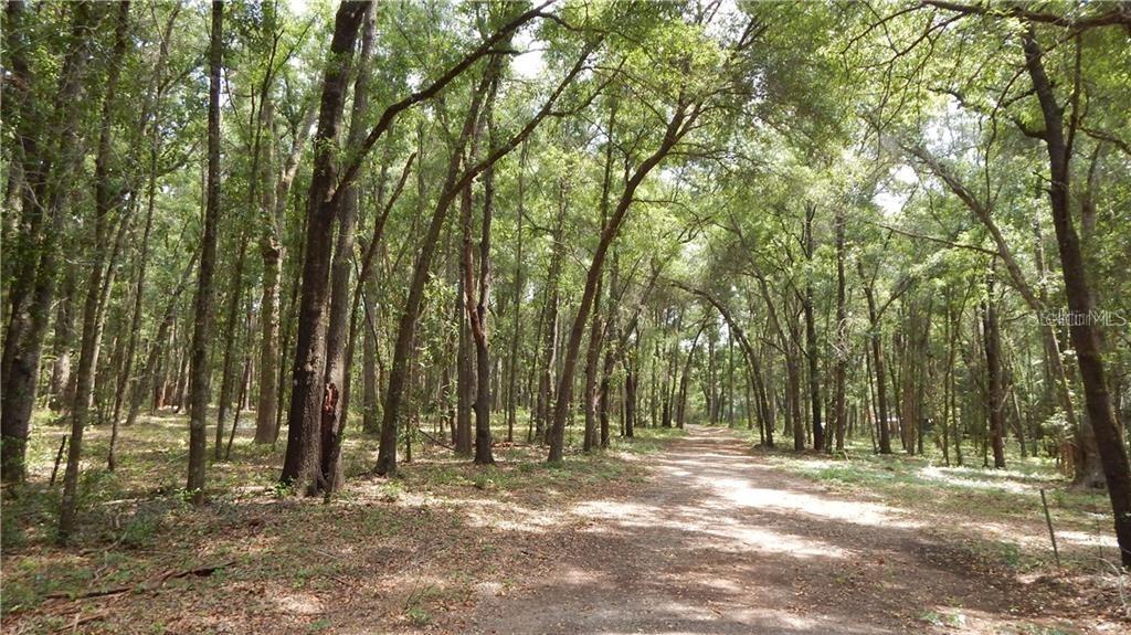 Lot 0041 Thornhaven Ln., Dade City, FL 33523