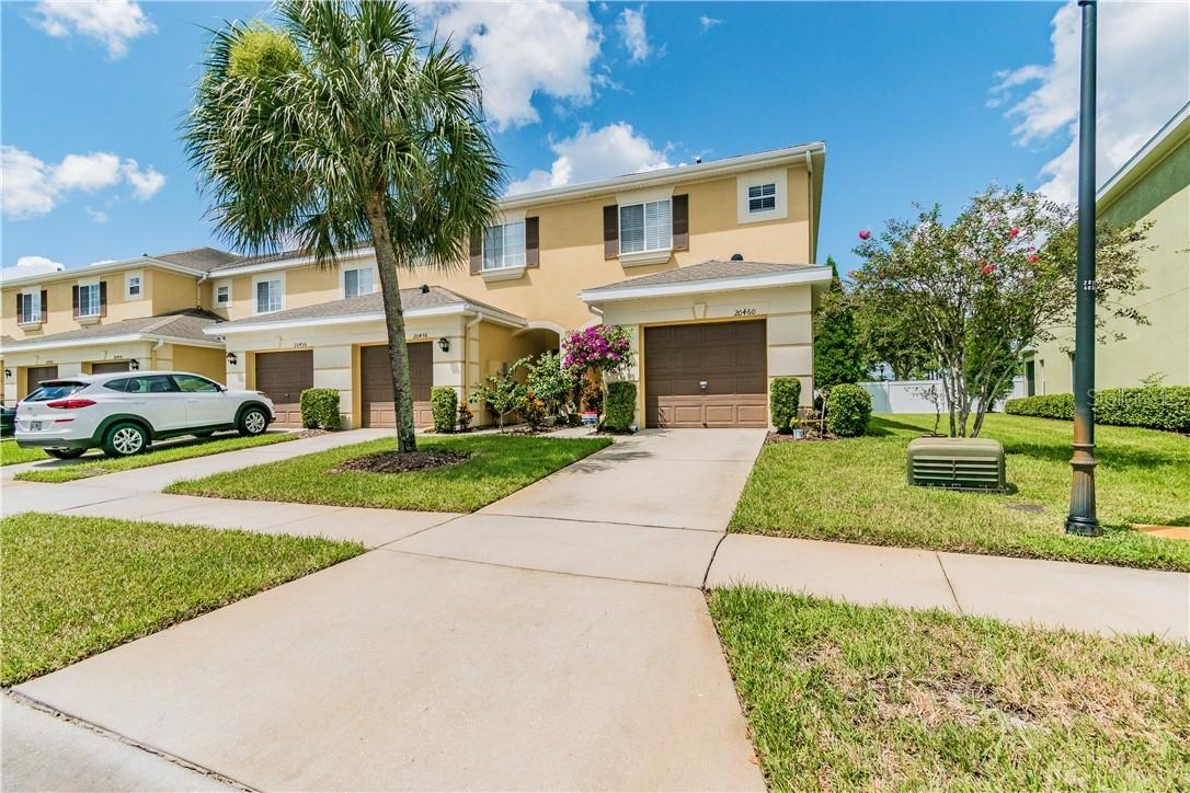 20460 Needletree Dr., Tampa, FL 33647