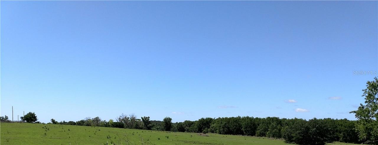 Blanton Rd., Dade City, FL 33523