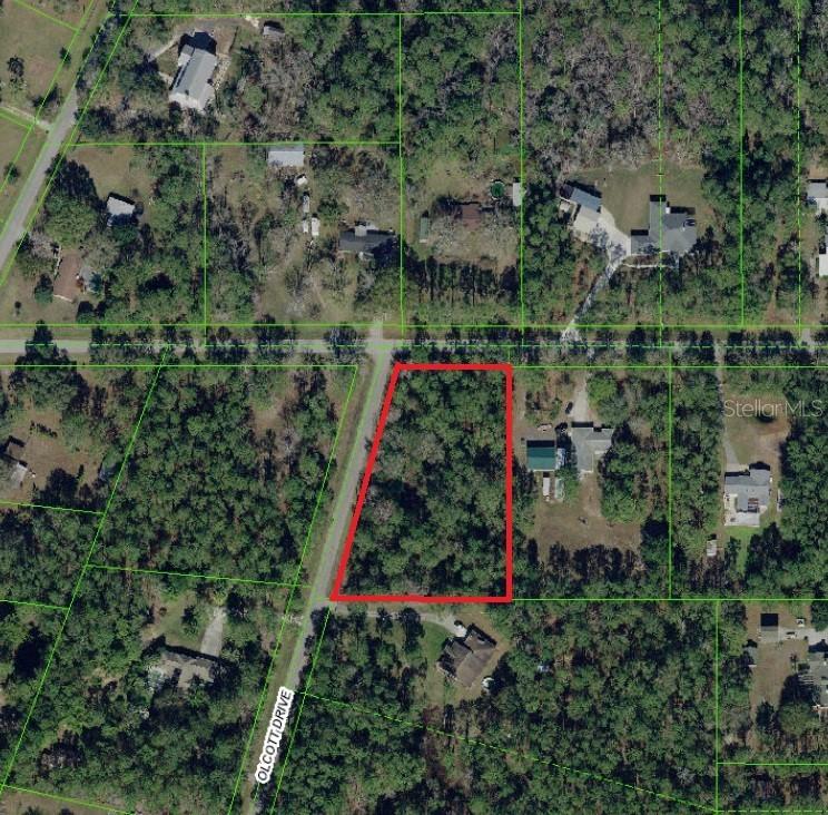 Walker, Wesley Chapel, FL 33545