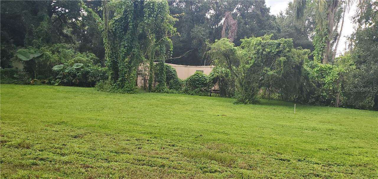 5214 Timberlan St., Tampa, FL 33624