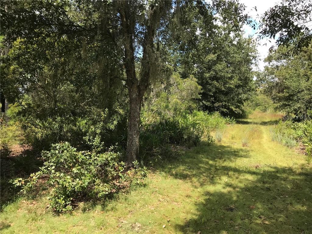 10# Hilda Ann Rd., Zephyrhills, FL 33540
