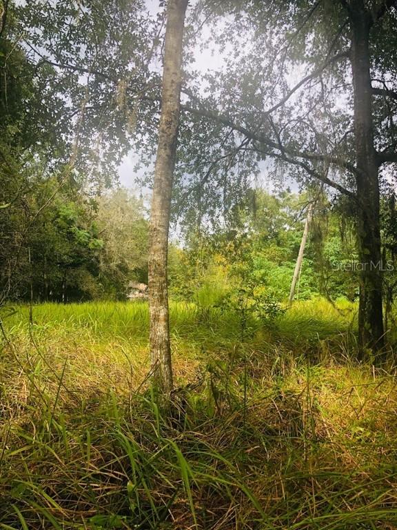 Lot 7 Block 5 Woodrow Ln., Hudson, FL 34669