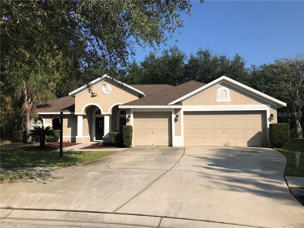 7250 Bucks Ford Dr., Riverview, FL 33578