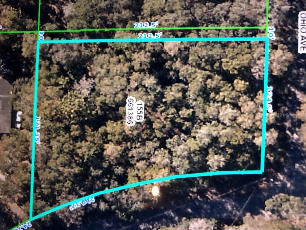 33536 Westwood Dr., Dade City, FL 33523