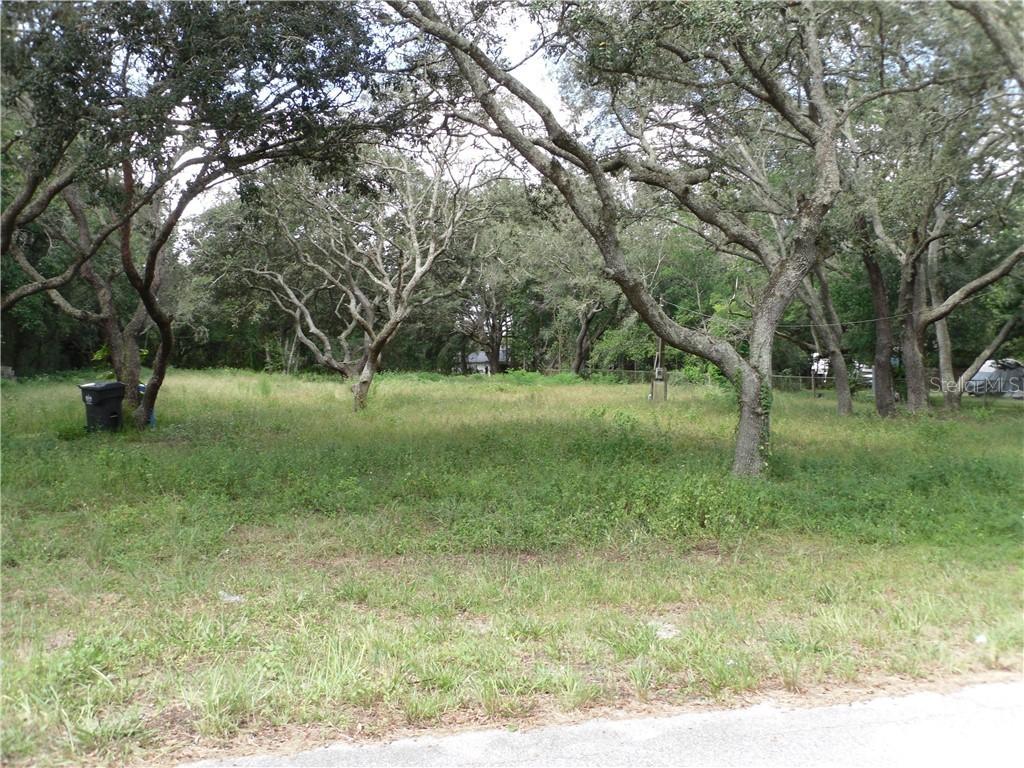 14816 N 20th St., Lutz, FL 33549