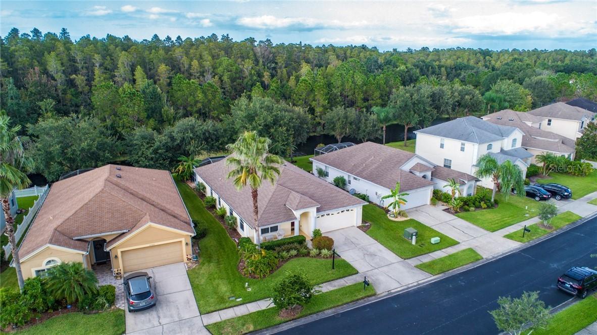 27513 Edenfield Dr., Wesley Chapel, FL 33544
