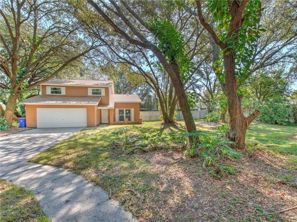 14601 Oak Vine Dr., Lutz, FL 33559