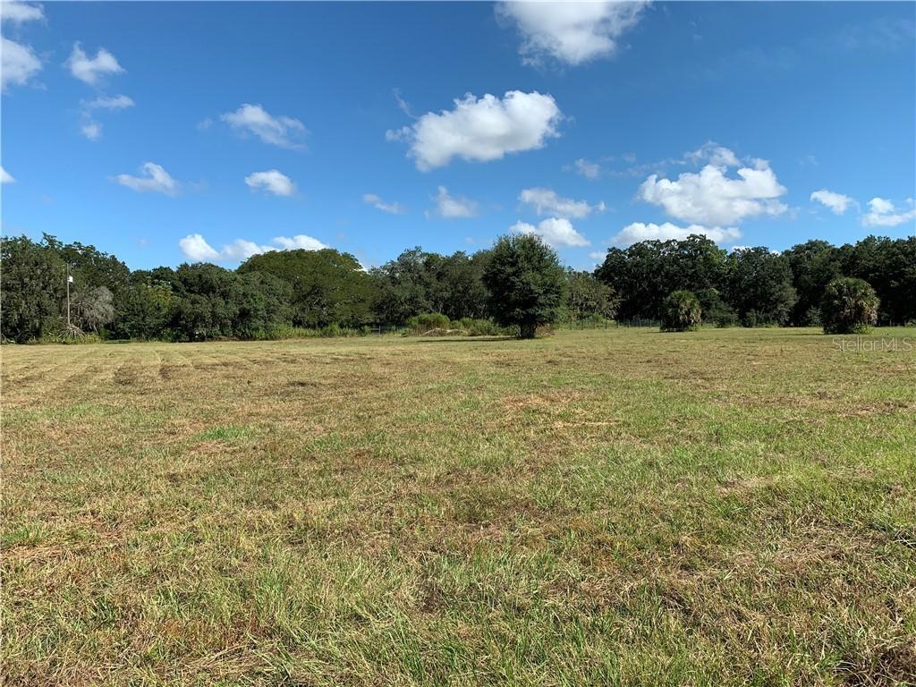 1029 Knowles Rd., Brandon, FL 33511