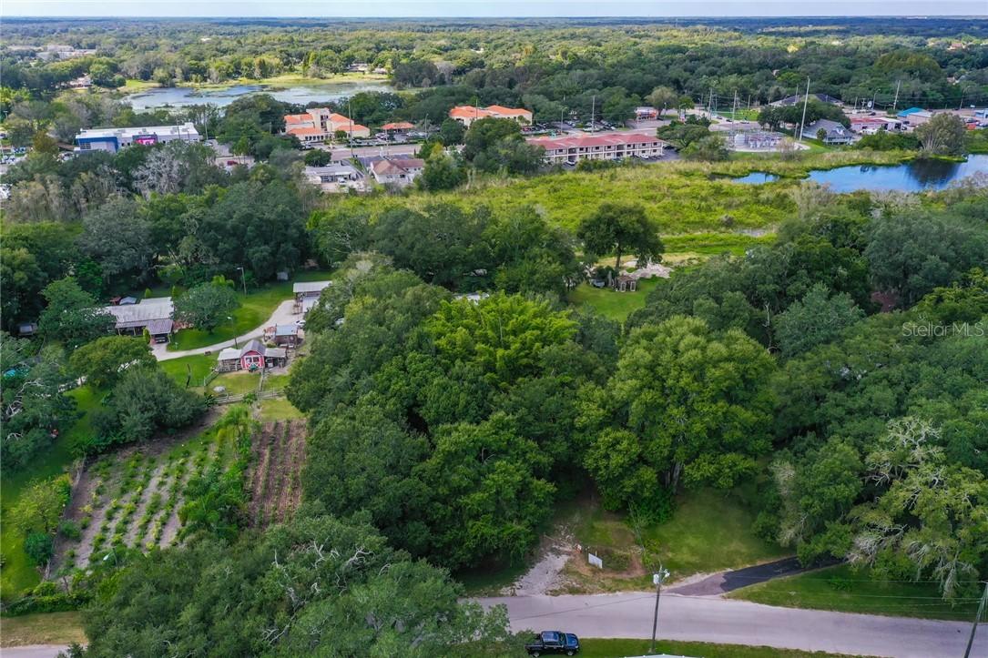 15420 Manning Dr., Tampa, FL 33613