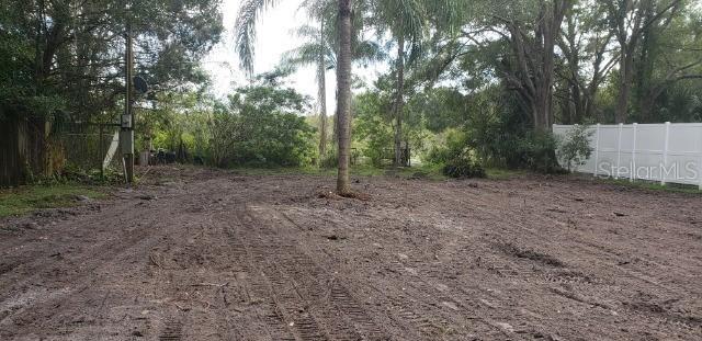 1922 Andrews Loop, Lutz, FL 33558