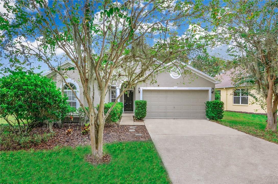 7718 Citrus Blossom Dr., Land O Lakes, FL 34637