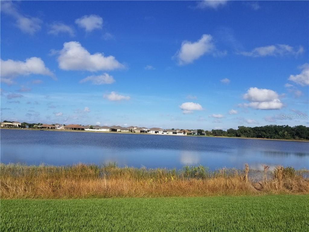 722 Tanana Fall Dr., Ruskin, FL 33570