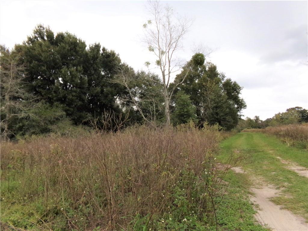Mccann Ln., Dade City, FL 33523