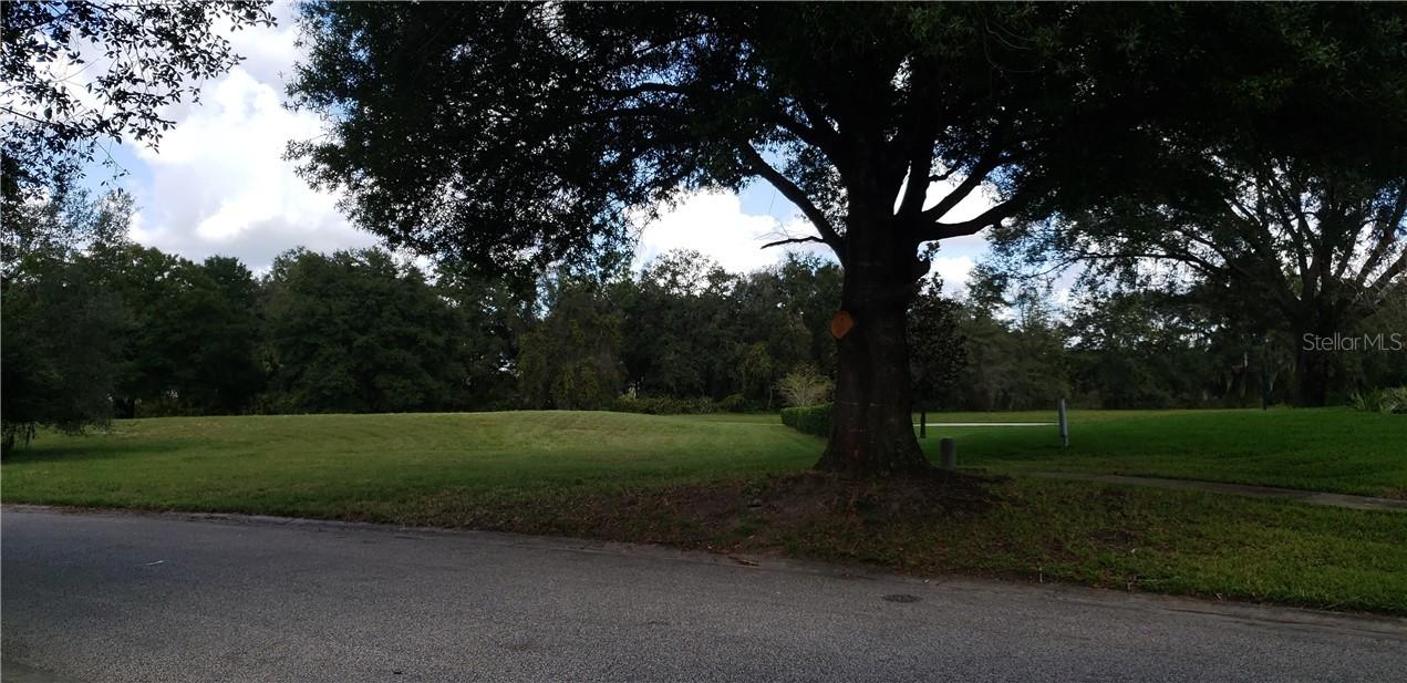 2811 Coastal Range Way, Lutz, FL 33559