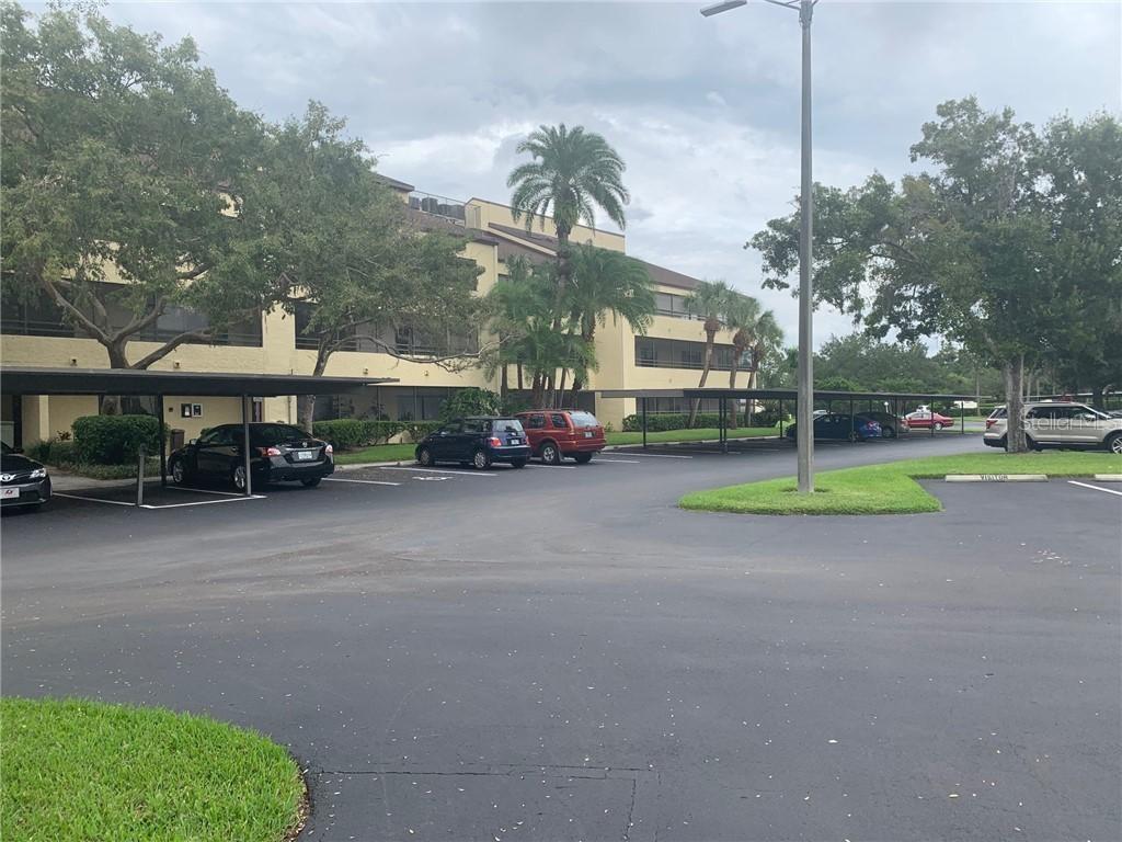 13610 S Village Dr. #4104, Tampa, FL 33618