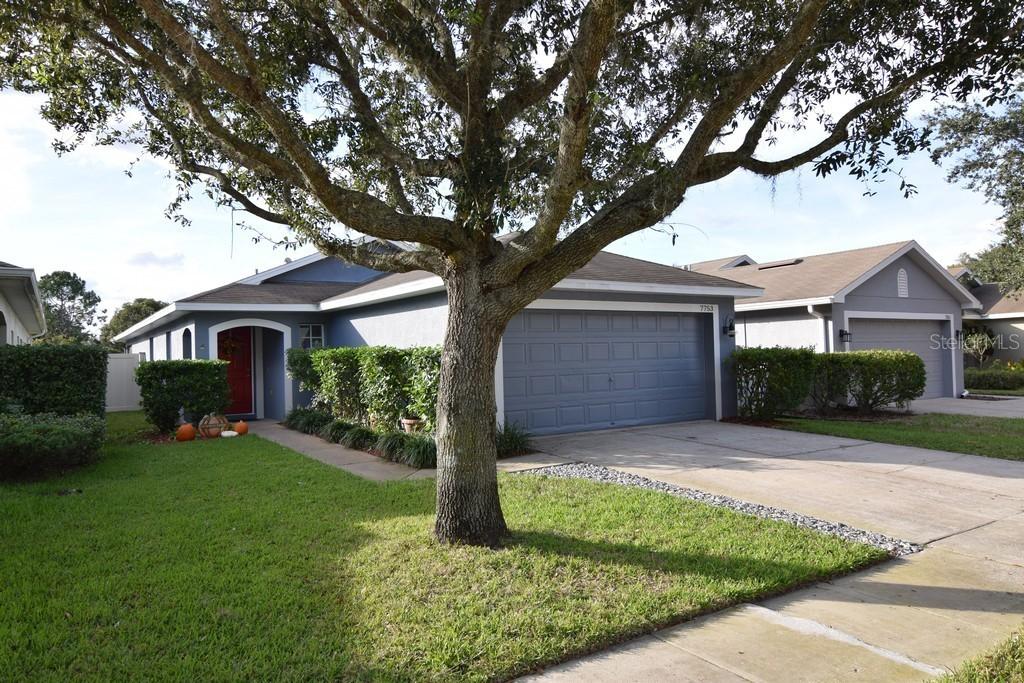 7753 Citrus Blossom Dr., Land O Lakes, FL 34637