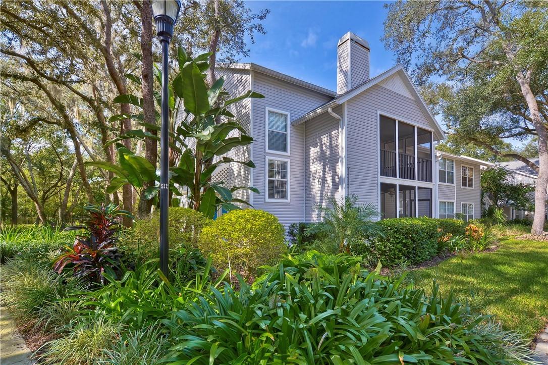 3166 Valley Oaks Dr., Tampa, FL 33618