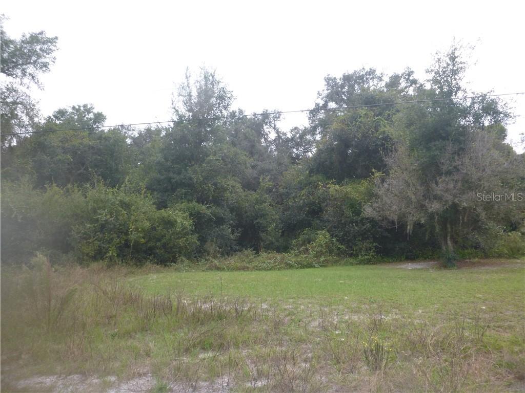 Orchid Pkwy, Dade City, FL 33523