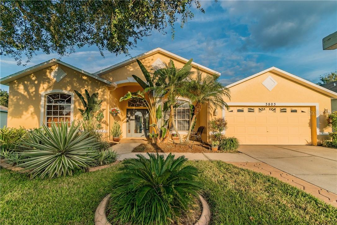 3803 Grand Forks Dr., Land O Lakes, FL 34639