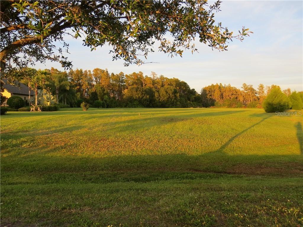 17305 Ballmont Park Dr., Odessa, FL 33556