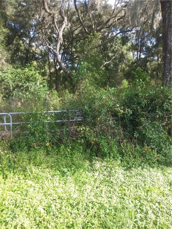 Trilby Rd, Dade City, FL 33525