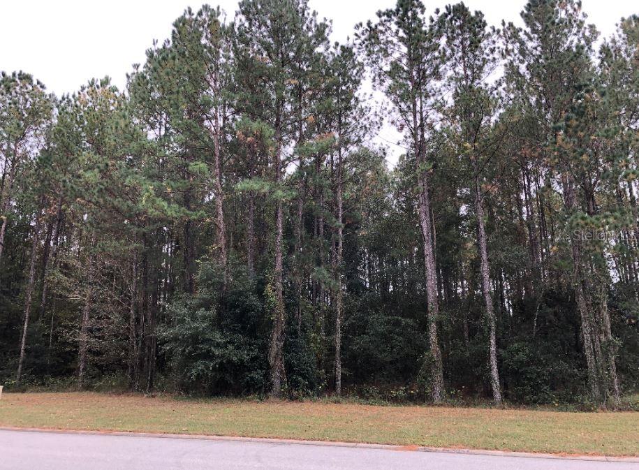5225 Summit View Dr., Brooksville, FL 34601