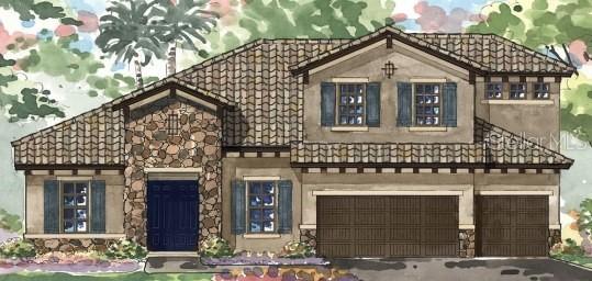 5356 Night Star Tr., Odessa, FL 33556