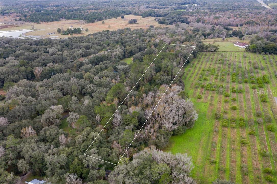 [Address Hidden by Seller], Brooksville, FL 34613