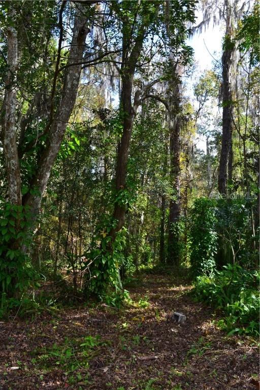 Olive St., Brooksville, FL 34601