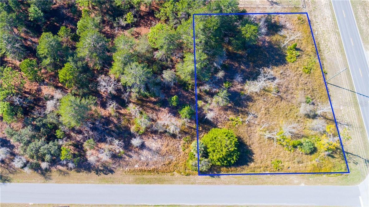 Golden Warbler Rd., Brooksville, FL 34613