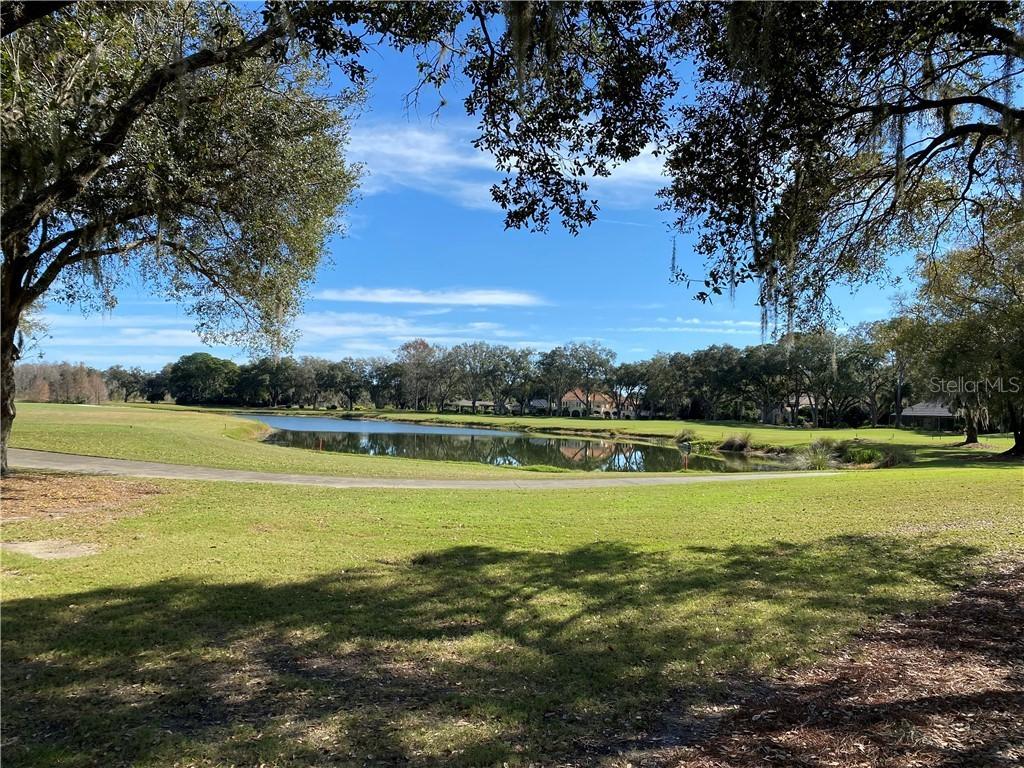 16503 Avila Blvd., Tampa, FL 33613