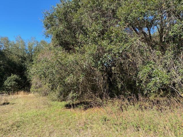 41019 Gator Ln., Zephyrhills, FL 33540