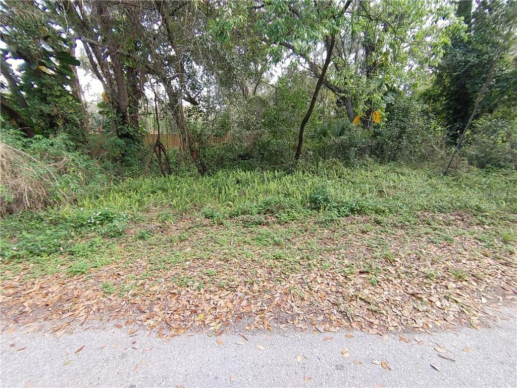 Holland Dr., Brandon, FL 33511