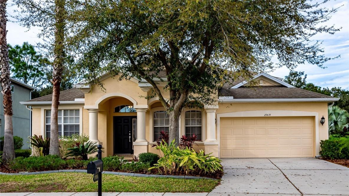 27435 Silver Thatch Dr., Wesley Chapel, FL 33544