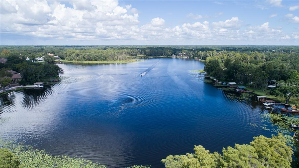 201 Griffin Rd., Lutz, FL 33548