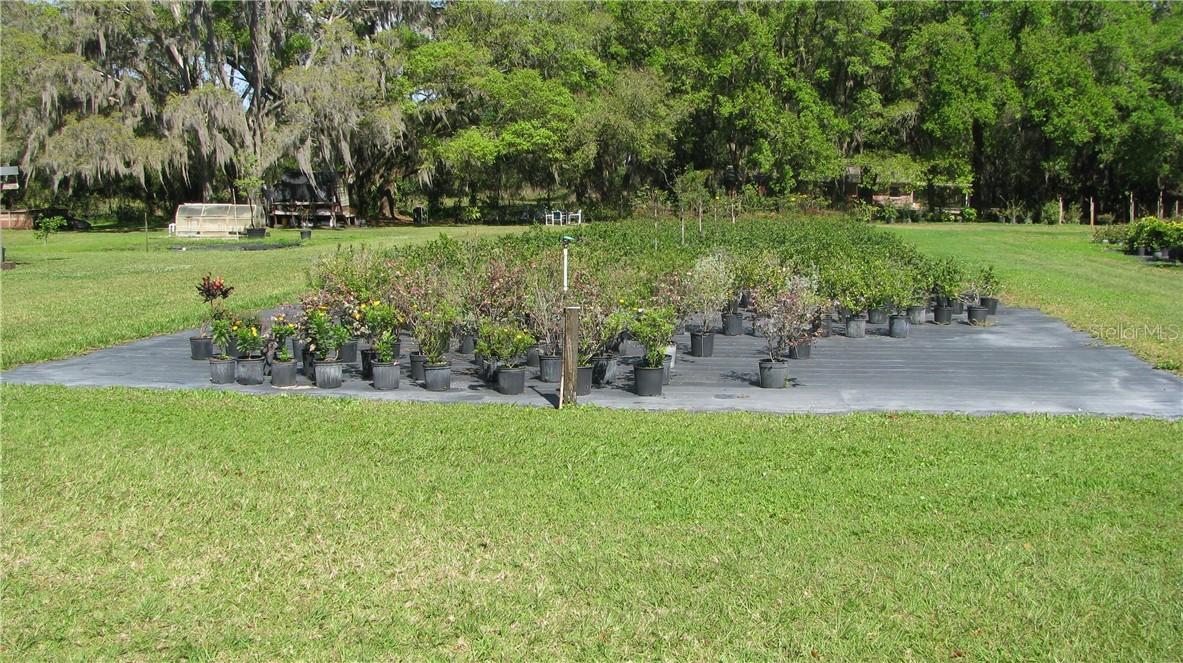 6702 Thonotosassa Rd., Plant City, FL 33565