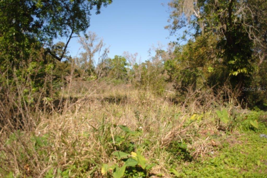 729 Crystal Lake Rd., Lutz, FL 33548