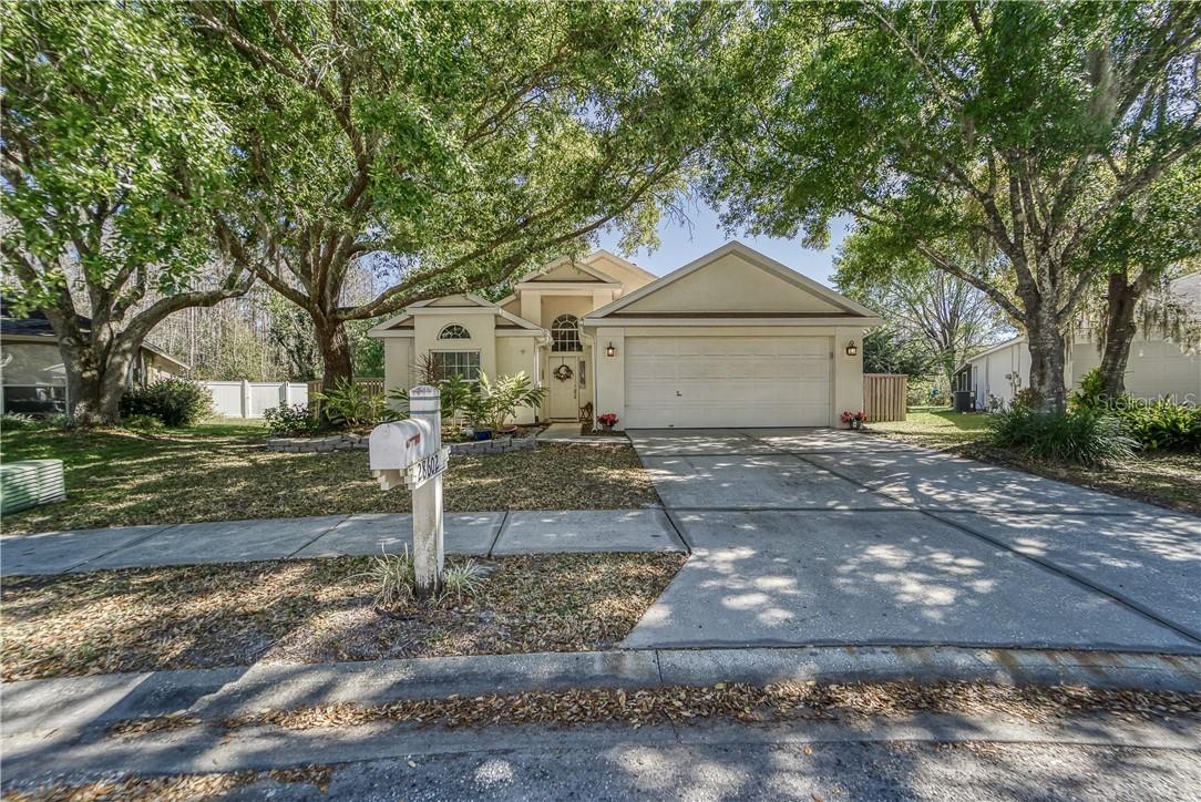 28602 Tall Grass Dr., Wesley Chapel, FL 33543