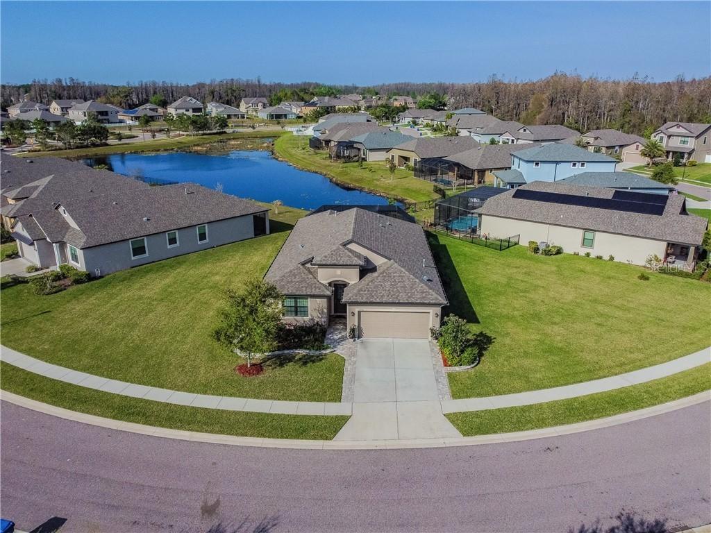 19710 Post Island Loop, Land O Lakes, FL 34638