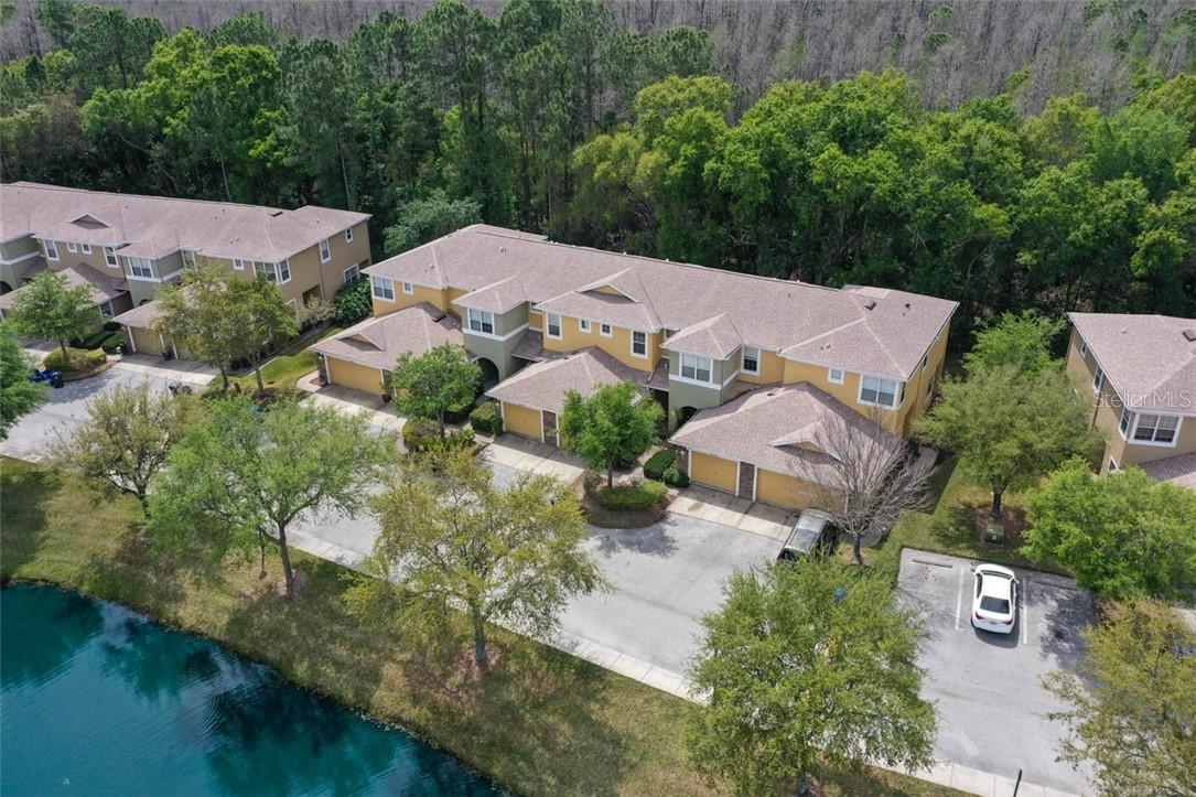 8151 Stone Leaf Ln., Tampa, FL 33647