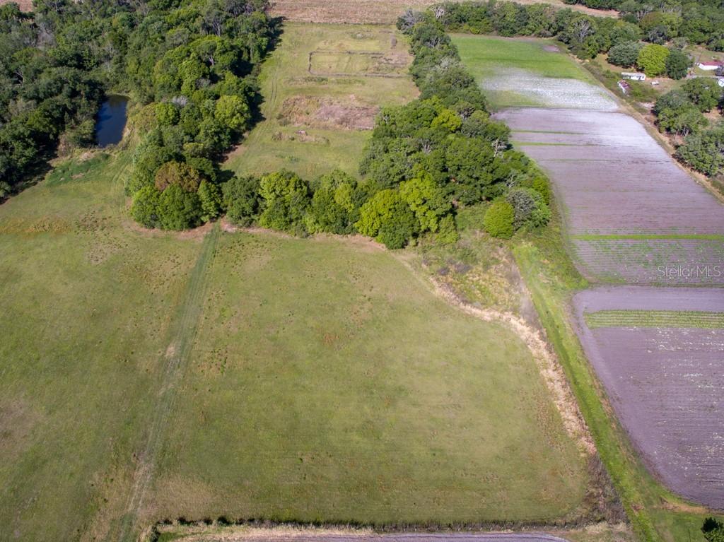 Holloman Rd, Plant City, FL 33567