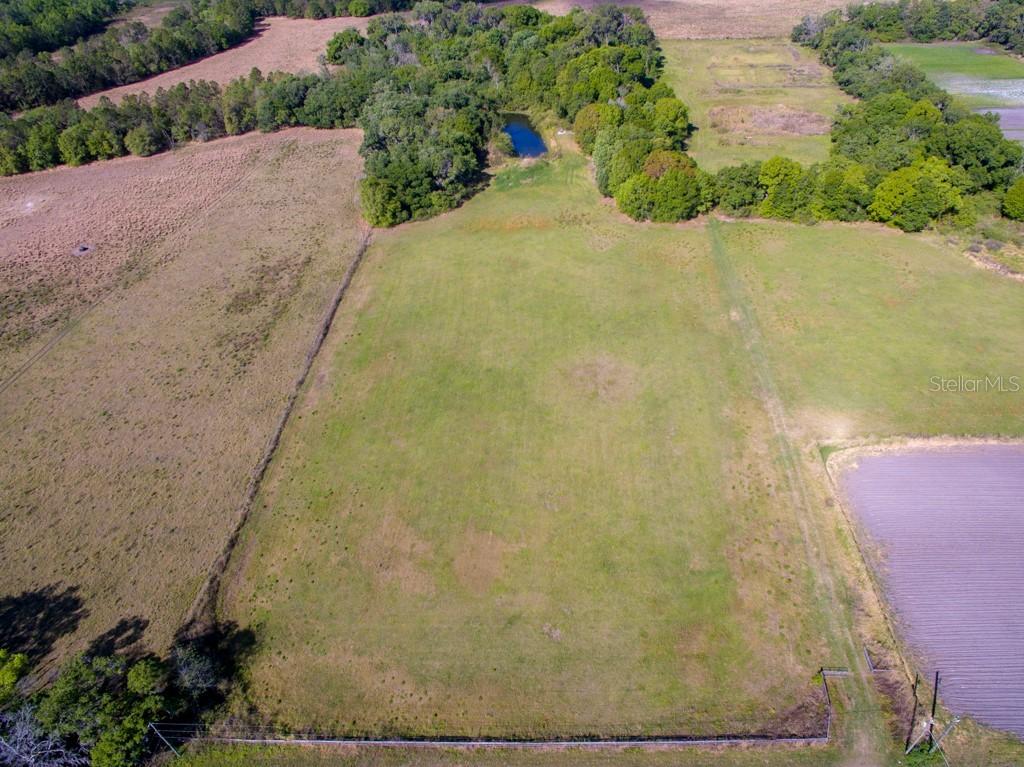 Holloman Rd, Plant City, FL 33567