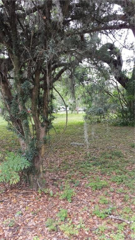 136 Lithia Pinecrest Rd., Brandon, FL 33511