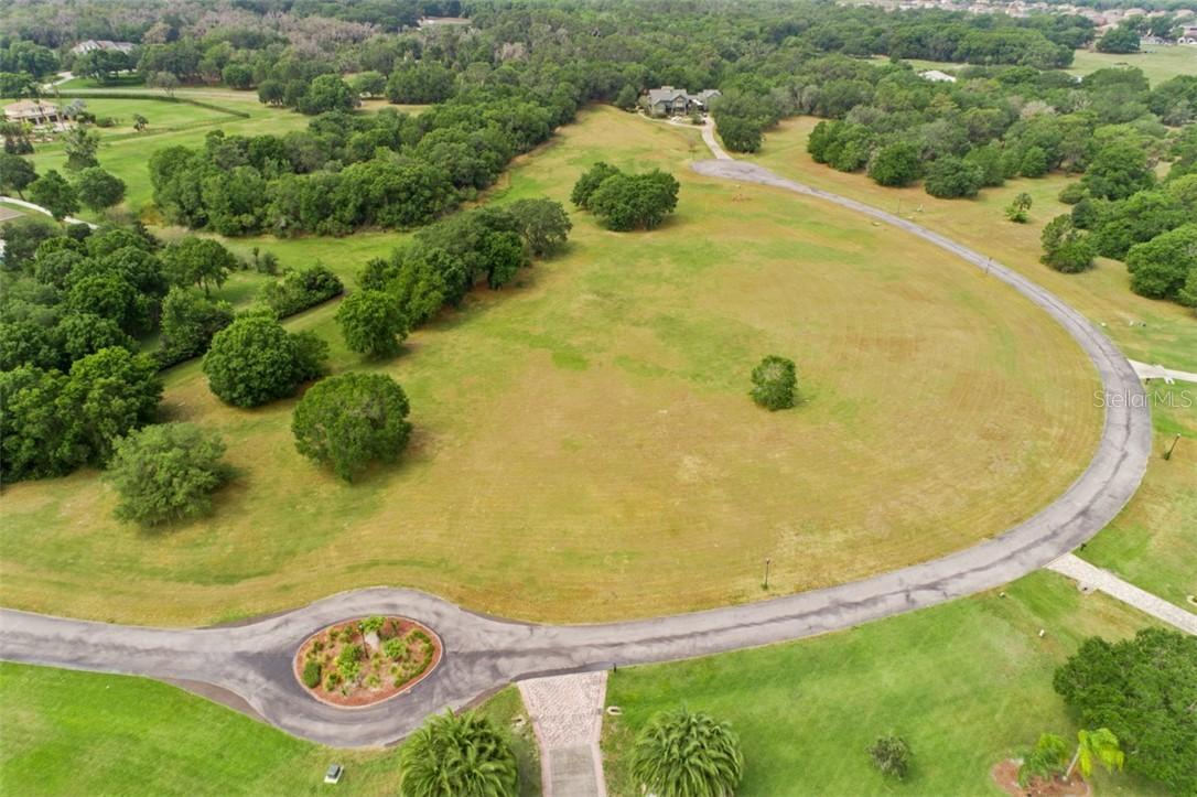 11423 Hammock Oaks Ct., Lithia, FL 33547