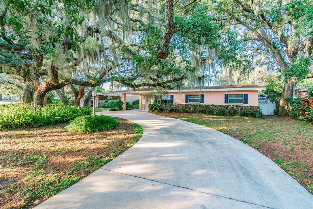 13103 N Oregon Ave., Tampa, FL 33612