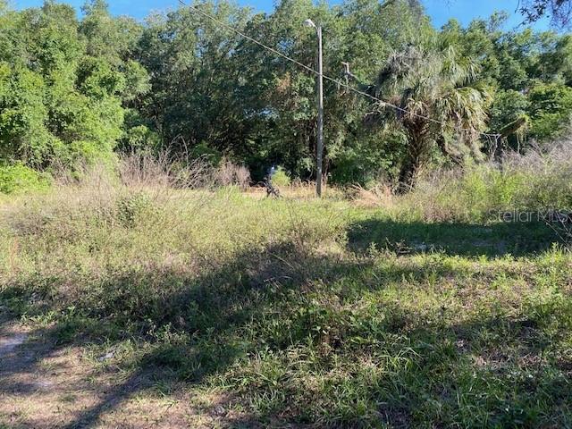 41008 Sutorus Rd., Zephyrhills, FL 33540