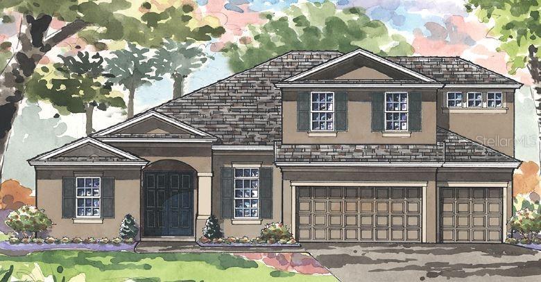 8768 Birchleaf Ct., Land O Lakes, FL 34637