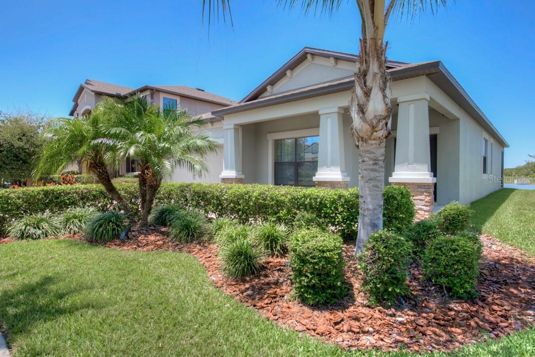 11520 Estuary Preserve Dr., Riverview, FL 33569